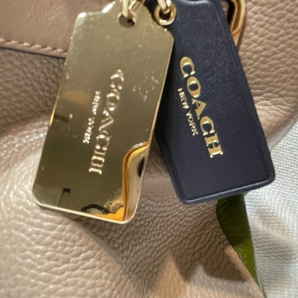 Coach Tru-color Grained Leather Swagger